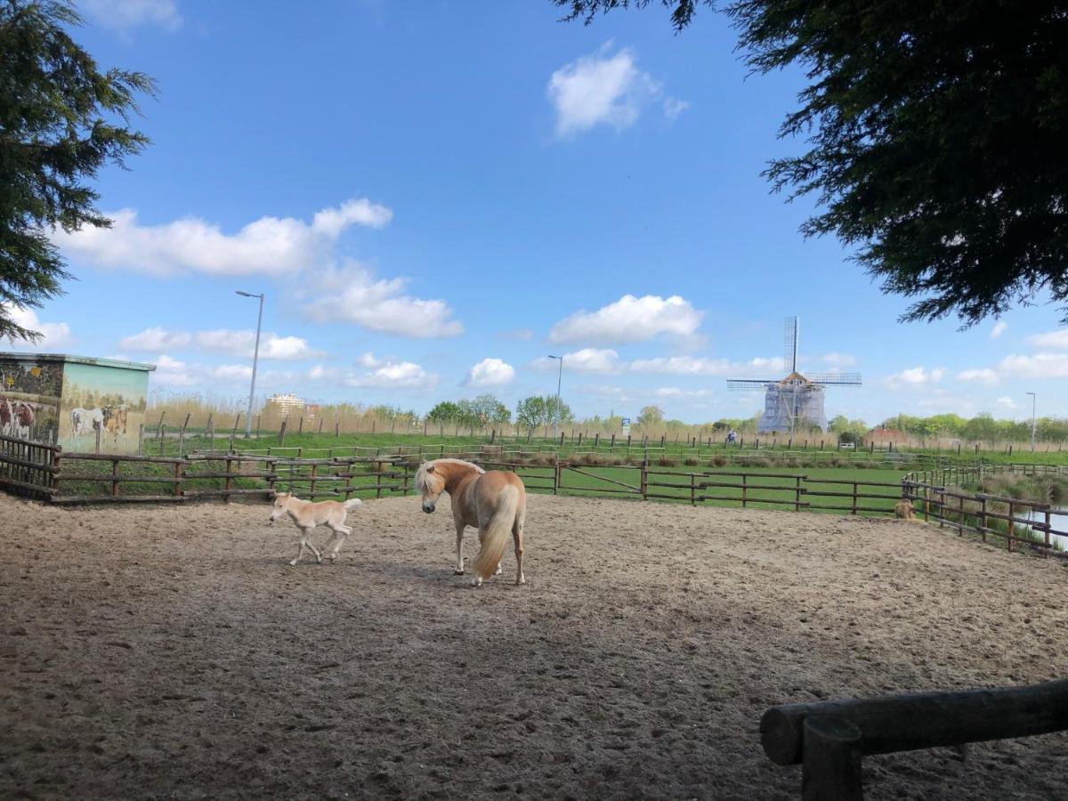 רוטרדם Chalet Aan De Rotte מראה חיצוני תמונה